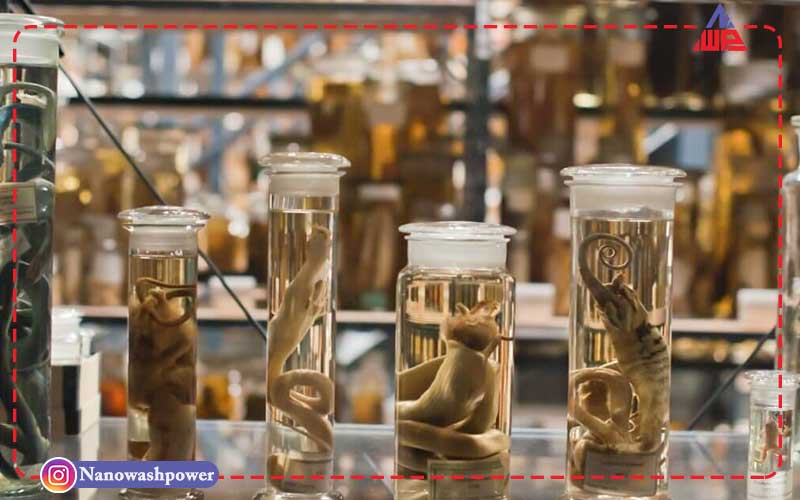 فرمالین چیست؟ | 13 کاربرد مهم فرمالین در صنایع | شرکت نانو واش پاور انواع مختلف فرمالین و کاربردهای آن در صنایع متفاوت