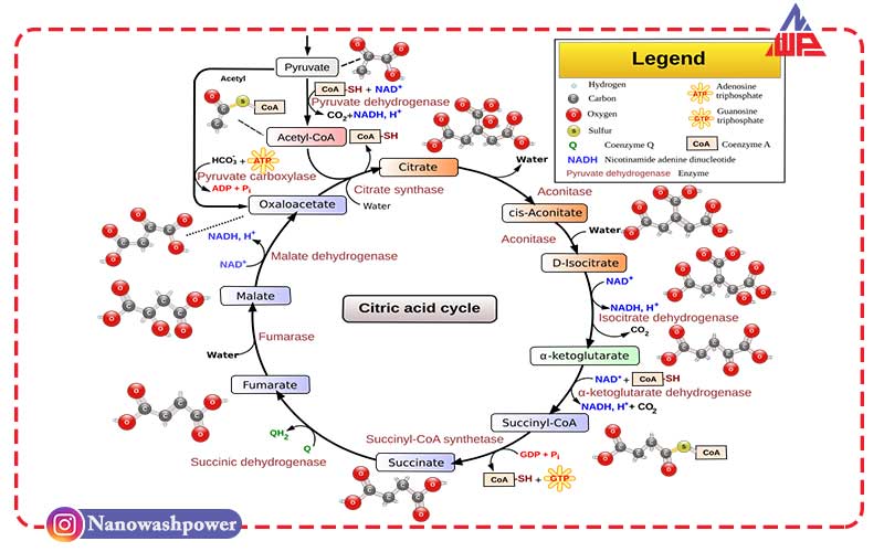 اسید سیتریک نانو واش min | اسید سیتریک چیست؟ | بررسی قیمت به‌روز و شرایط خرید و فروش عمده و جزئی | شرکت نانو واش پاور